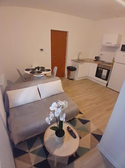 Appartement F1 Orchidee Mulhouse Exterior foto
